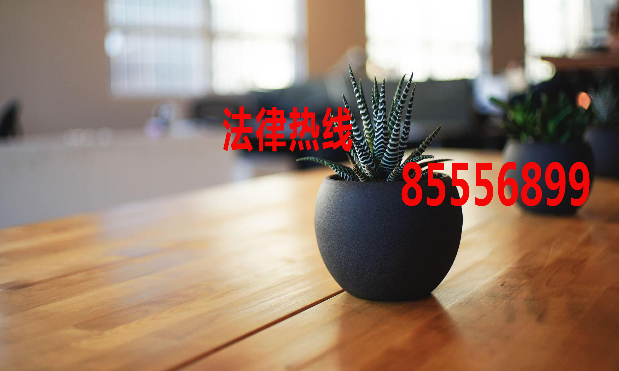 乐清市律师15356291688_温州市乐清律师